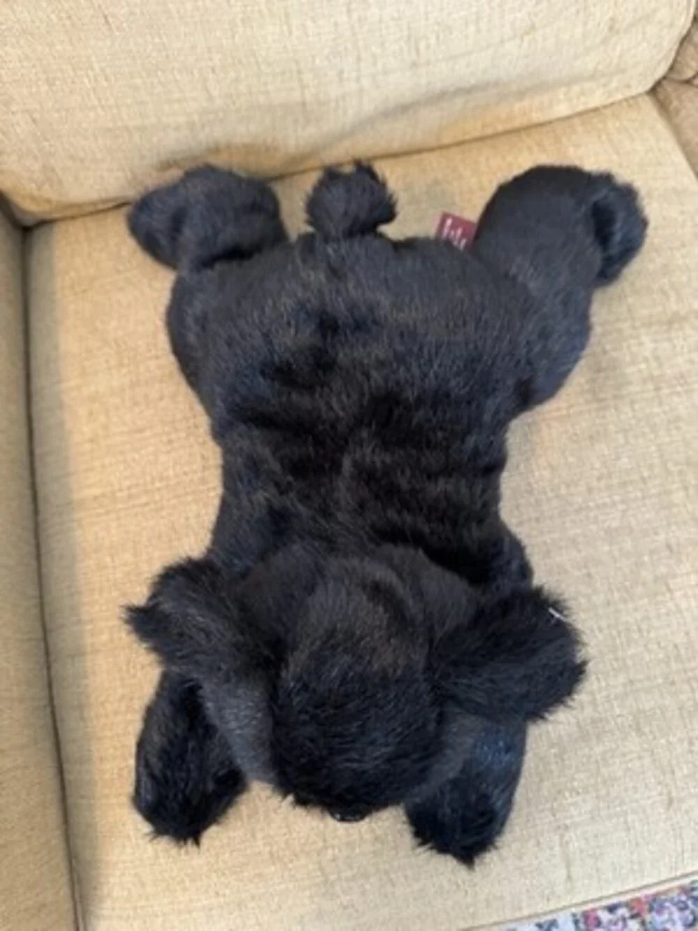 a Bearington Collection 